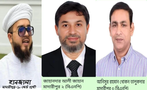 মাদারীপুরে ২টিতে বিএনপি, ১টিতে জোটের বিজয়